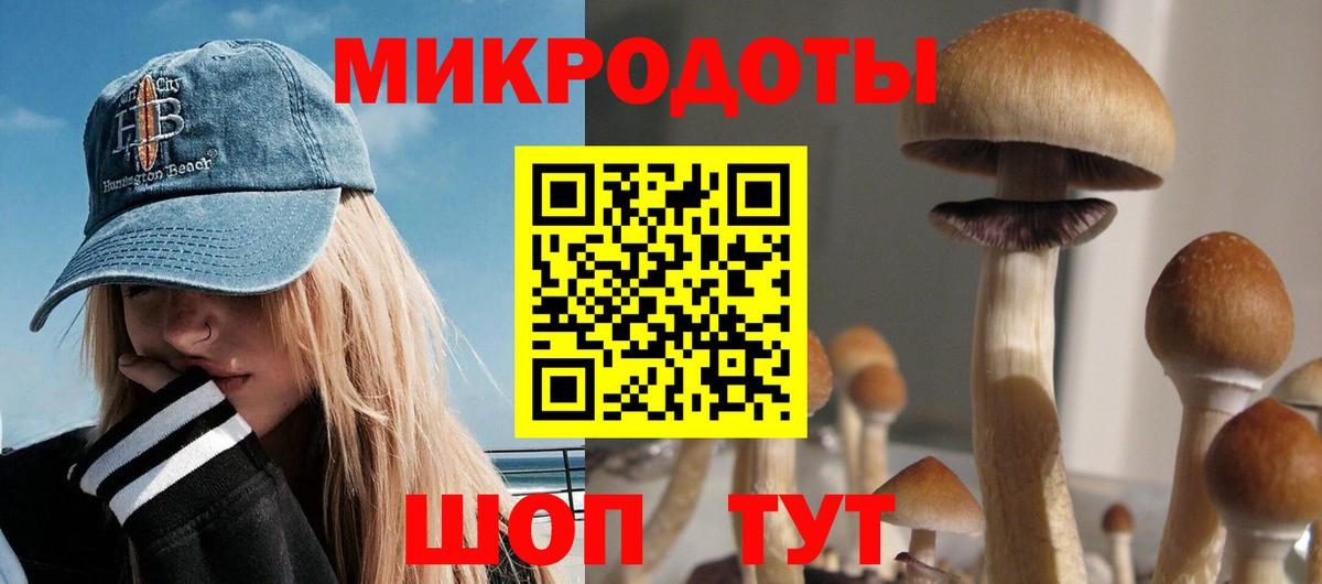 Псилоцибиновые грибы мухоморы Калач-на-Дону